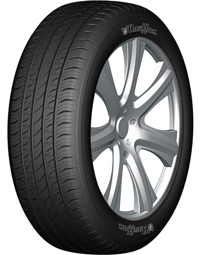RAU1956515MMEV – RAUFFAN MAXMILE EV 195/65 R15
